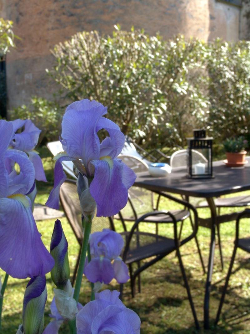 Villanova - Nature & Wellness - Oda