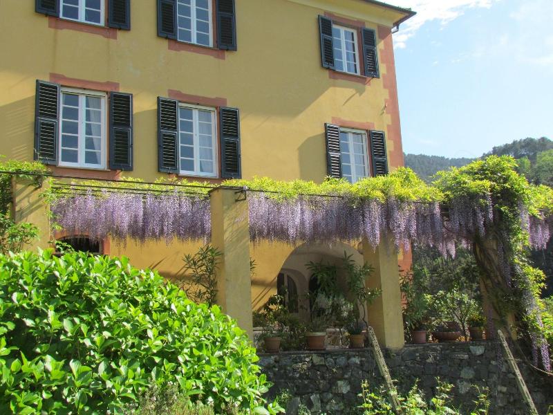 Villanova - Nature & Wellness - Oda