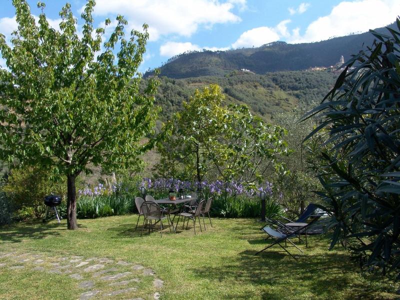 Villanova - Nature & Wellness - Oda