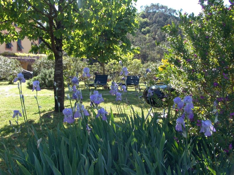 Villanova - Nature & Wellness - Oda