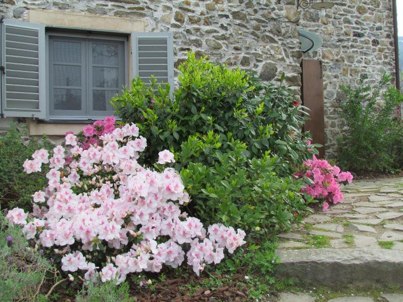 Villanova - Nature & Wellness - Oda