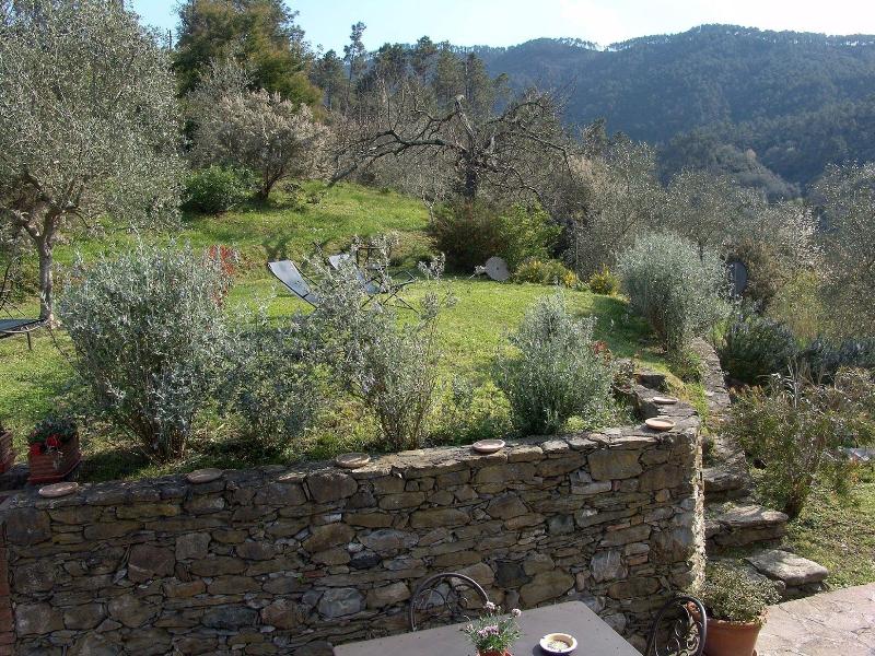 Villanova - Nature & Wellness - Oda