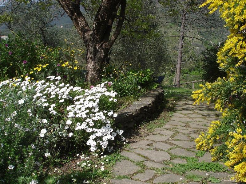 Villanova - Nature & Wellness - Oda