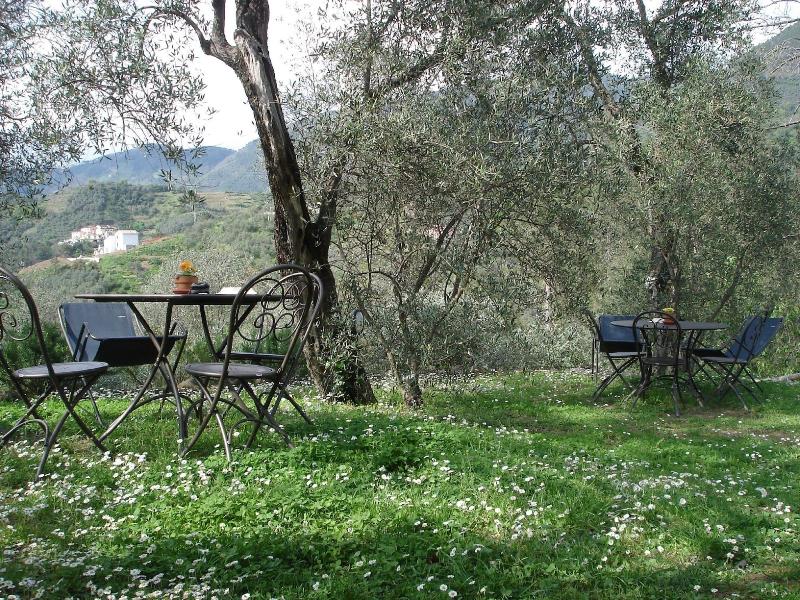 Villanova - Nature & Wellness - Oda