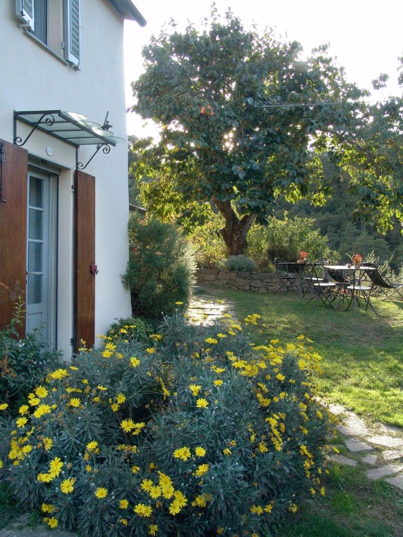 Villanova - Nature & Wellness - Oda