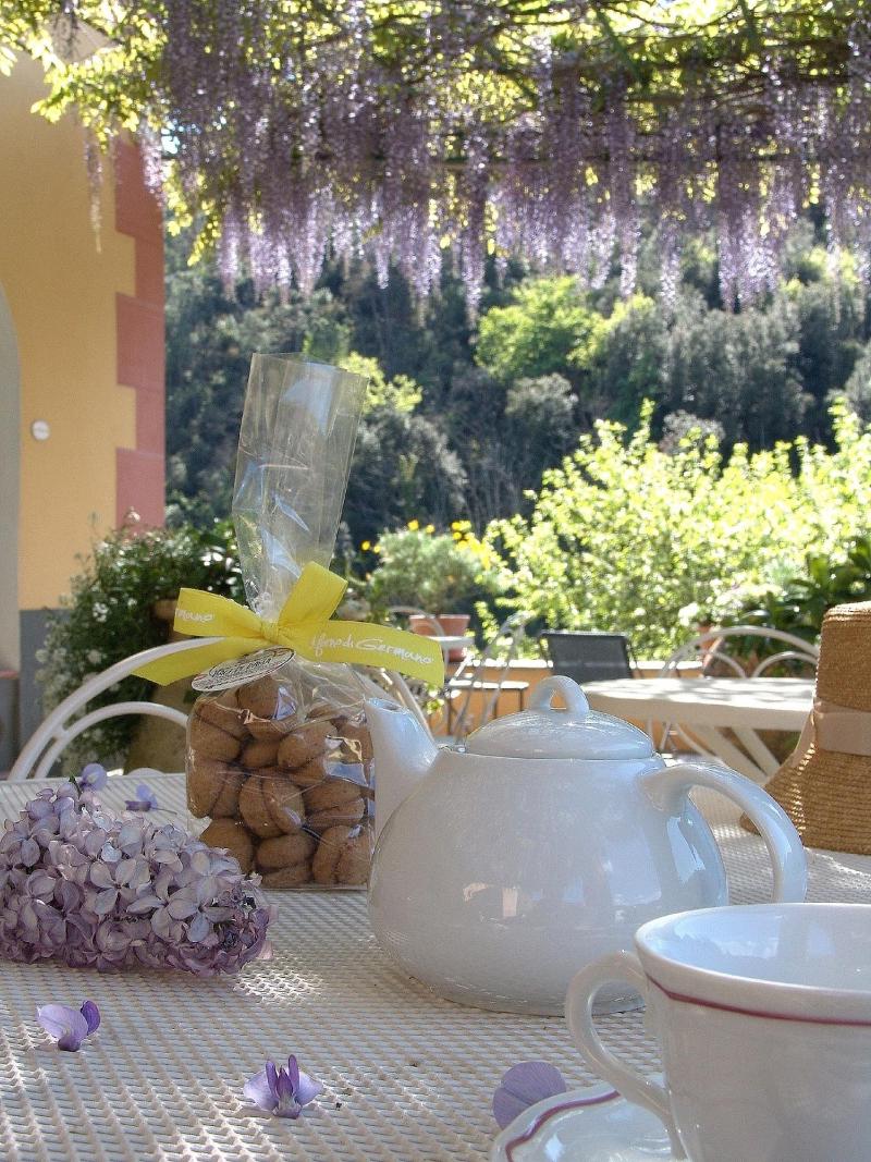 Villanova - Nature & Wellness - Oda