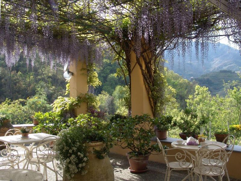 Villanova - Nature & Wellness - Oda