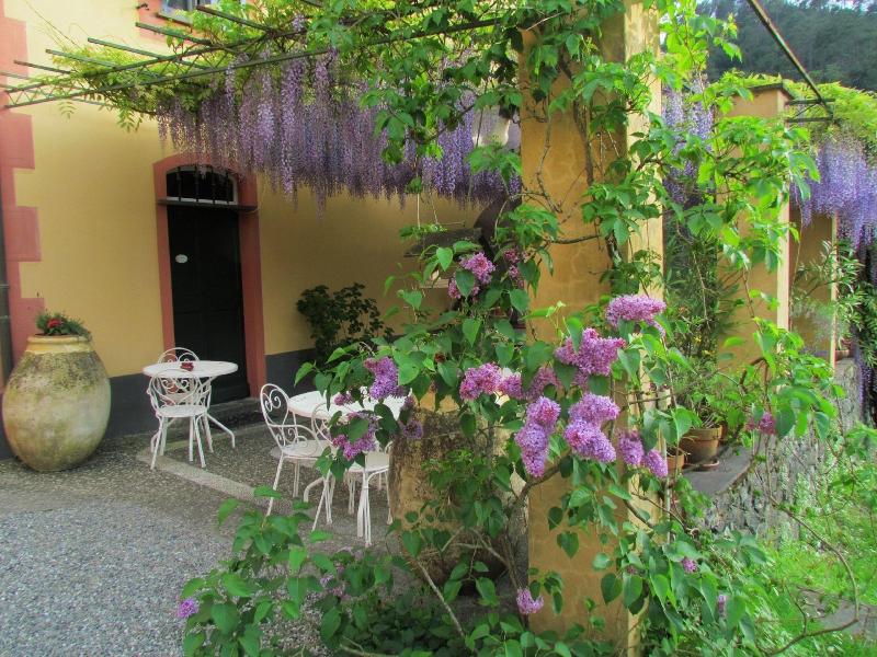 Villanova - Nature & Wellness - Oda