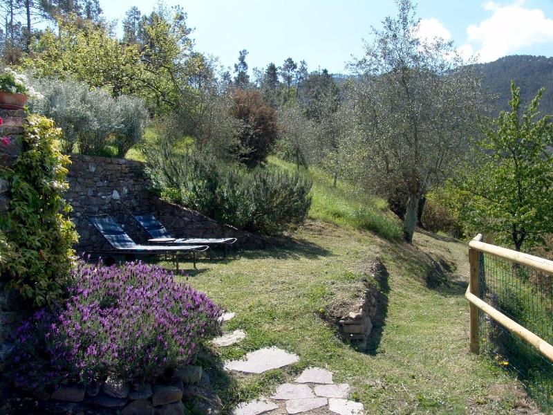 Villanova - Nature & Wellness - Oda