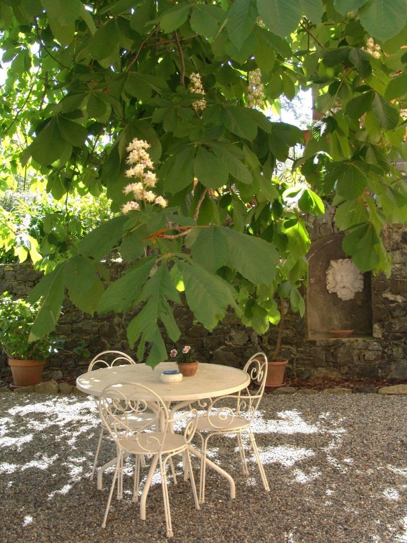 Villanova - Nature & Wellness - Oda