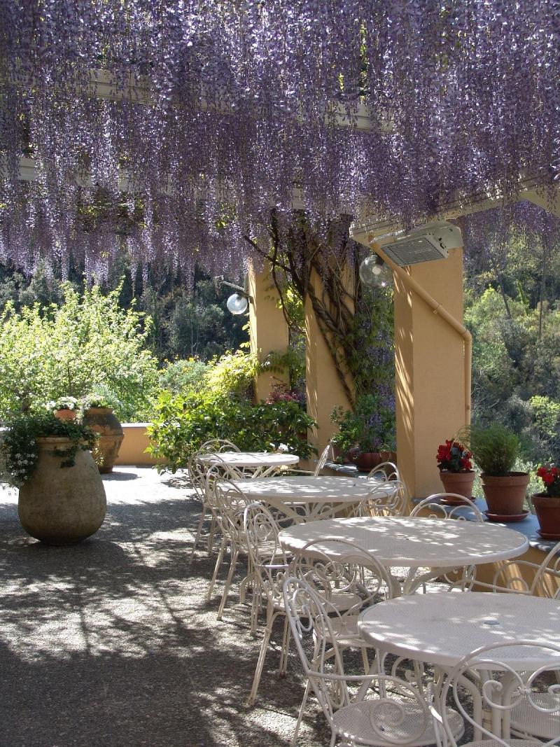 Villanova - Nature & Wellness - Teras