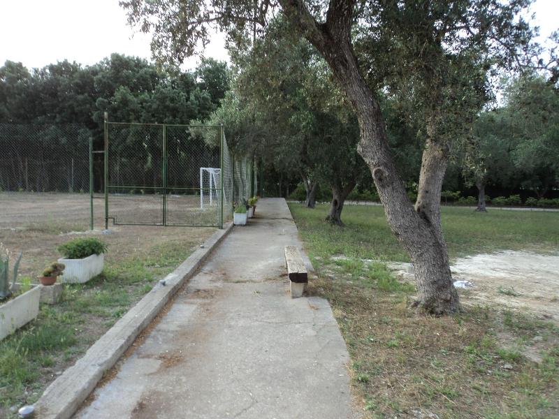 B&B Ulivi d'Argento - Genel