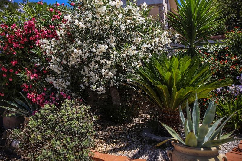 La Residenza Torchiara - Genel