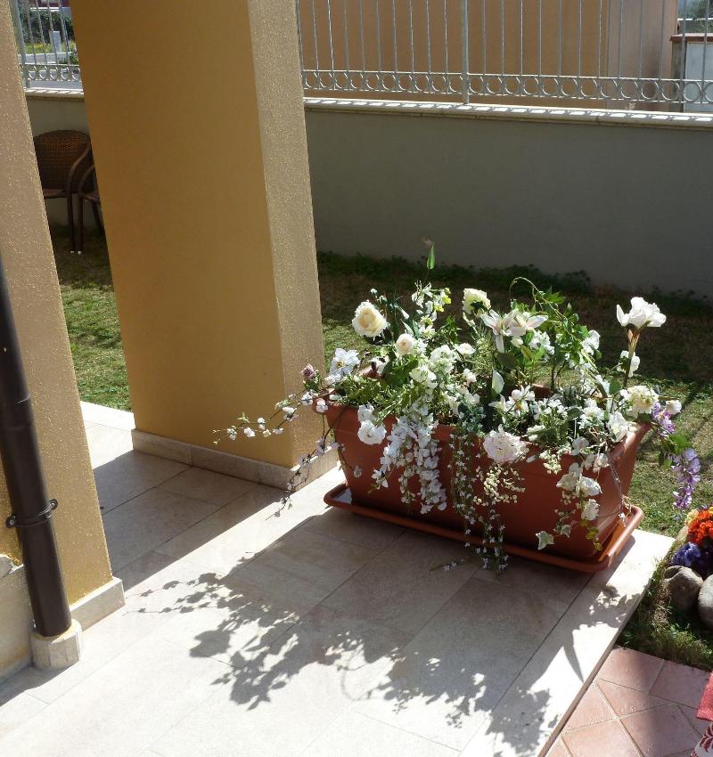 Emozioni d'Estate - Genel