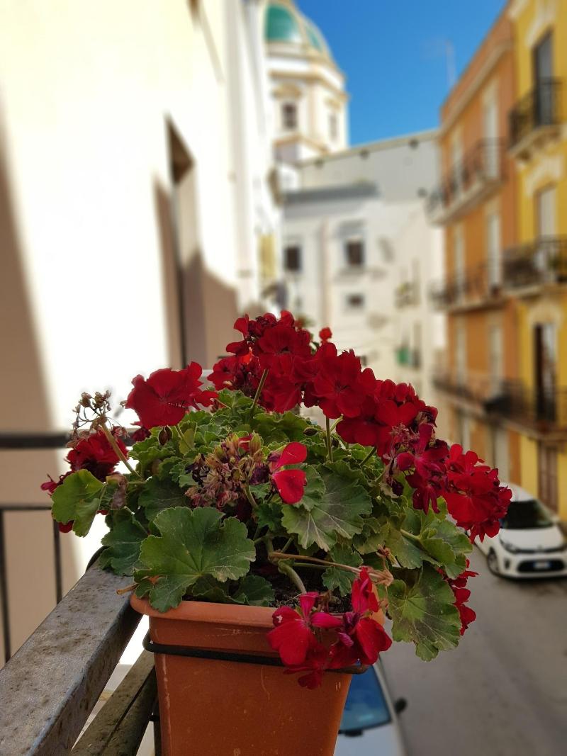 La Trinacria Bed & Breakfast - Oda