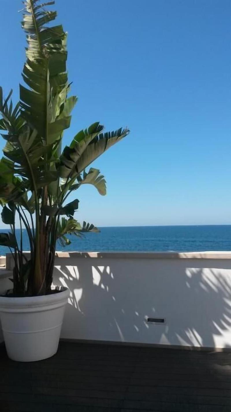 MoMa B&B - Teras