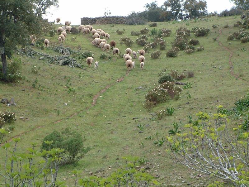 Monte Gois Country House e Spa - Genel