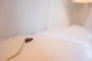 Monte Gois Country House e Spa fotoÄŸrafÄ±