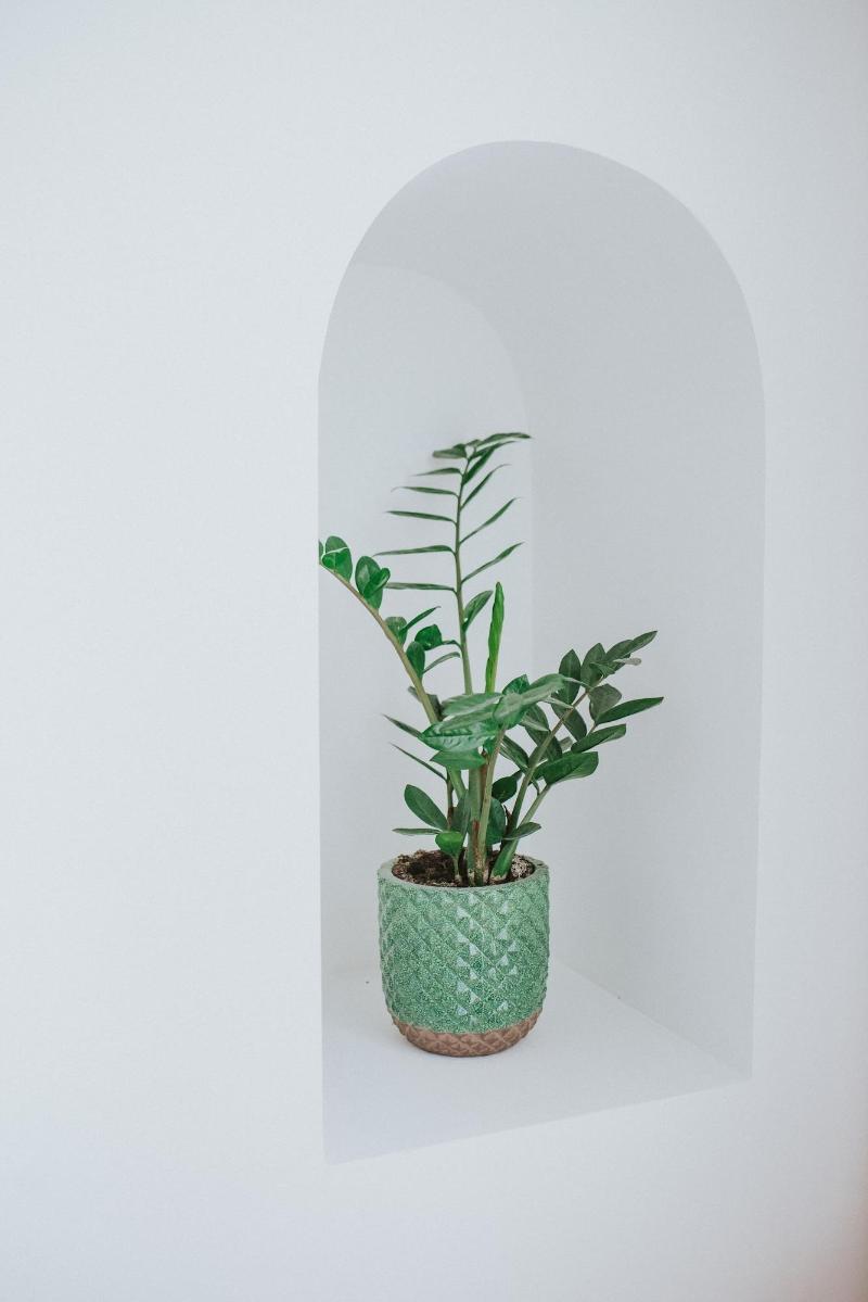 Dona Graca Lisbon Apartments - Lobi
