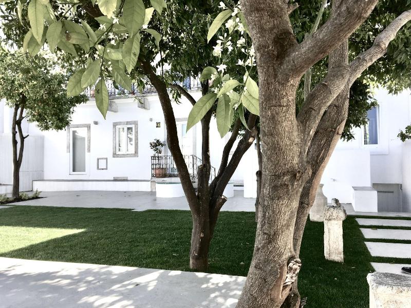 Dona Graca Lisbon Apartments - Genel