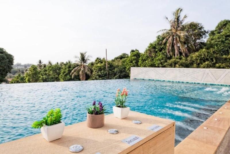 Happy Place Condo - Aktivite