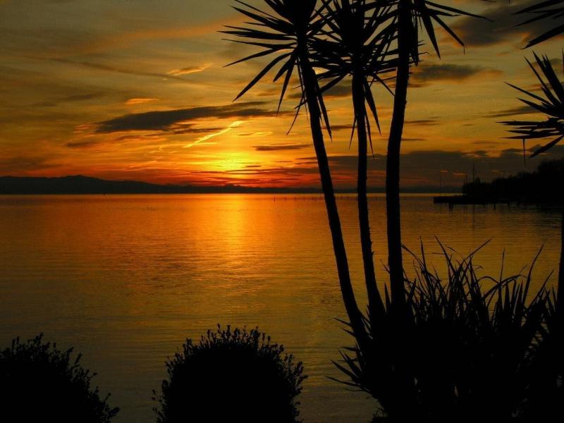 Pension Am Bodensee - Plaj