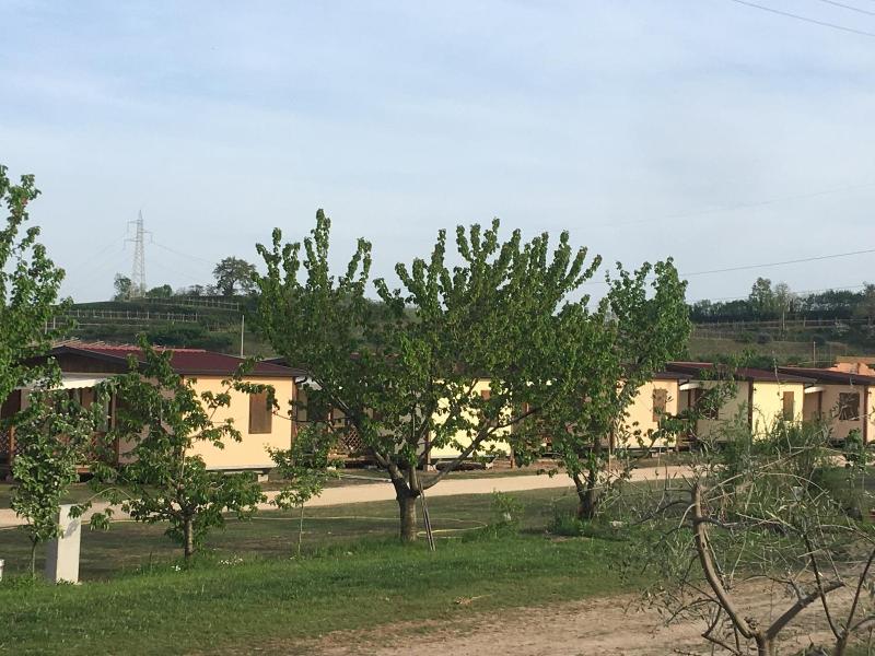 Agriturismo La Palazzina - Genel