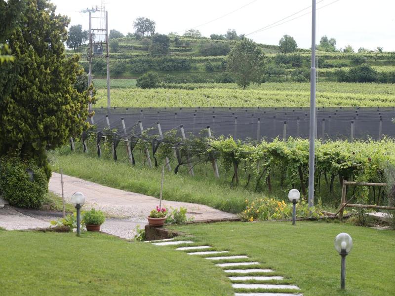 Agriturismo La Palazzina - Genel
