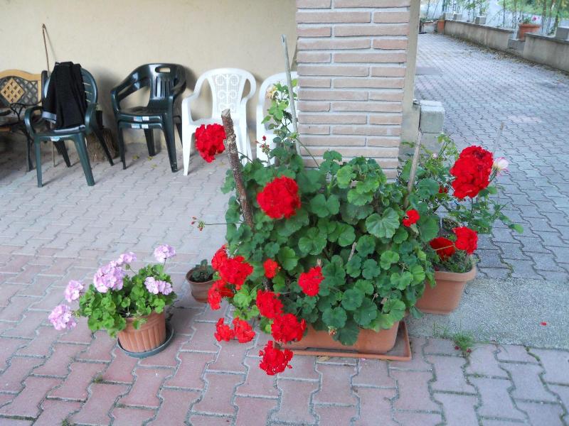 Agriturismo Monti Sibillini Camperato - Genel