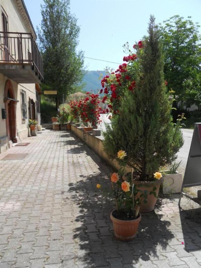 Agriturismo Monti Sibillini Camperato - Genel