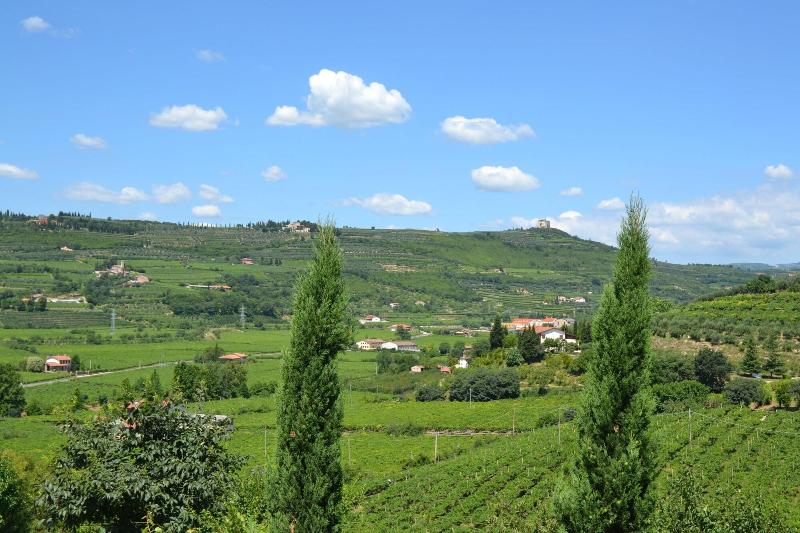 Corte Tamellini - Genel