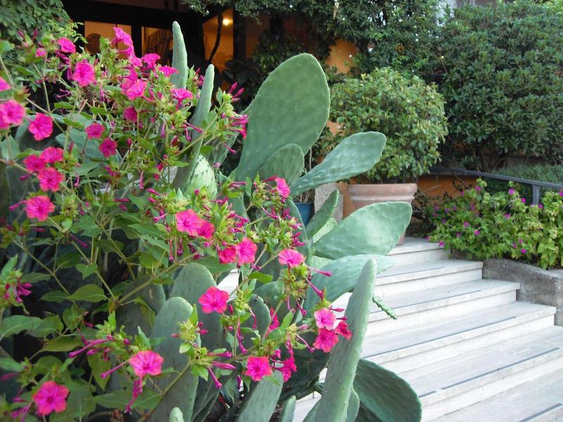 Eco Hotel Il Casale - Genel