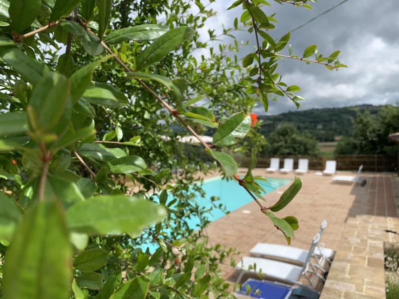 Agriturismo la Palazzetta di Assisi - Genel