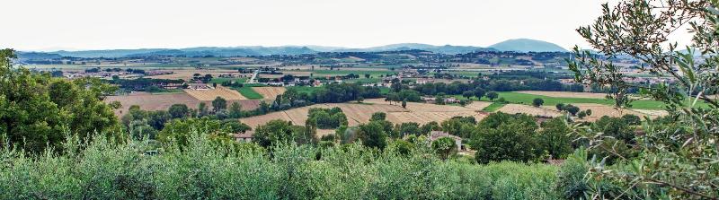 Agriturismo la Palazzetta di Assisi - Genel