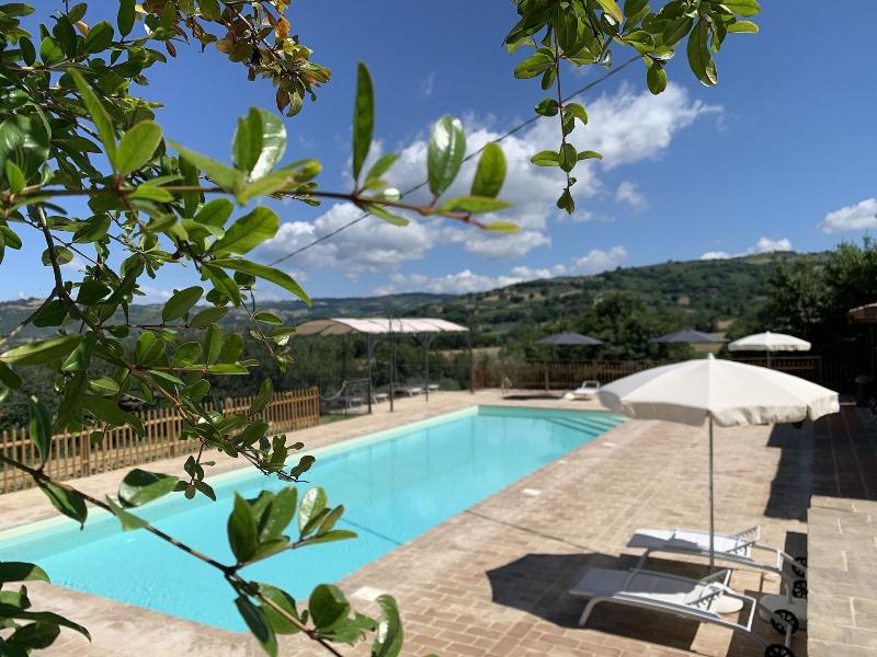 Agriturismo la Palazzetta di Assisi - Genel