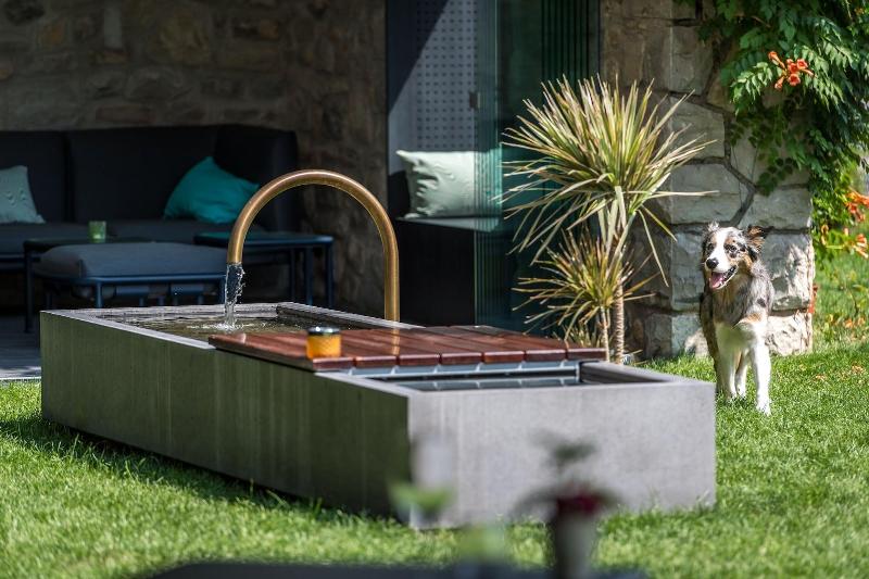 Chatonneyre Hotel et Restaurant - Teras
