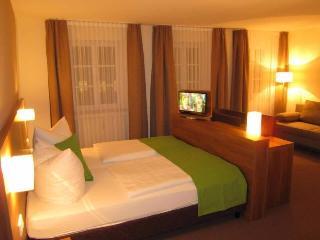 Hotel Adler fotoÄŸrafÄ±