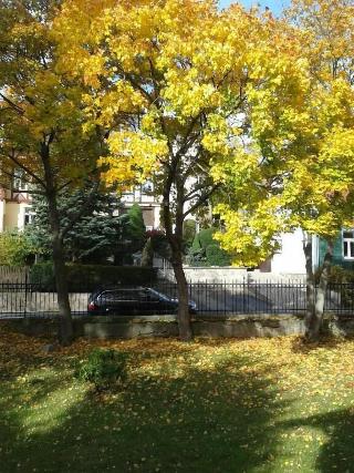 Pension Haus Marga fotoÄŸrafÄ±
