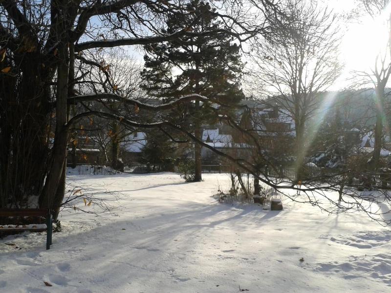 Pension Haus Marga - Genel