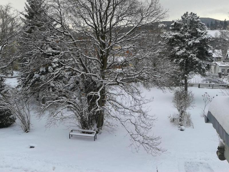 Pension Haus Marga - Genel