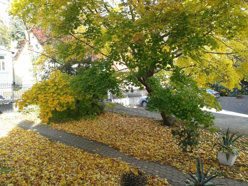 Pension Haus Marga - Genel