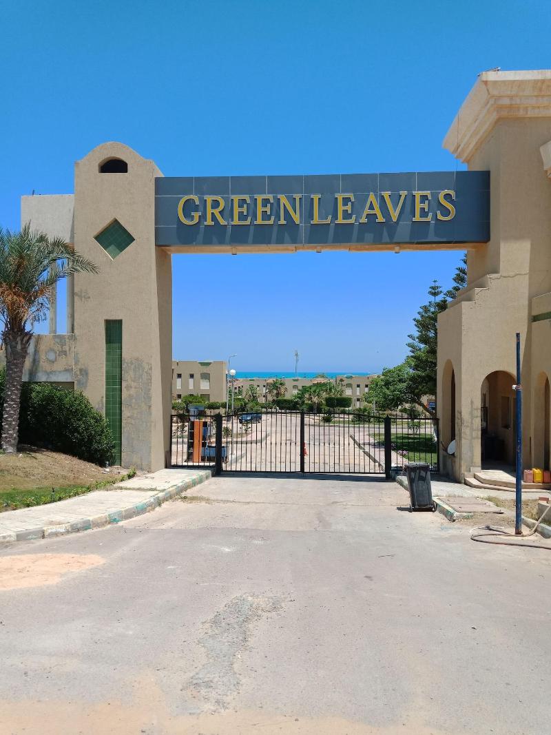 Green Leaves Aqua Park Beach Resort North Coast - Genel