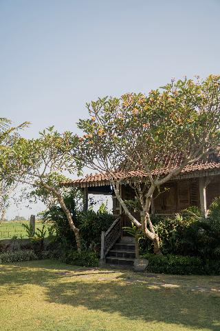 Aswanaya Villas & Suite fotoÄŸrafÄ±