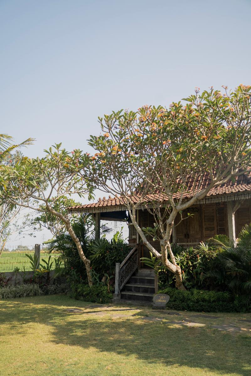 Aswanaya Villas & Suite - Oda