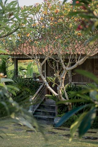 Aswanaya Villas & Suite fotoÄŸrafÄ±