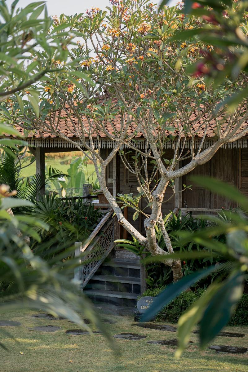 Aswanaya Villas & Suite - Oda