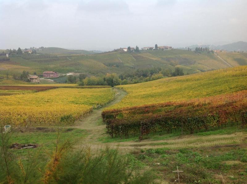 Agriturismo La Casa In Collina - Genel