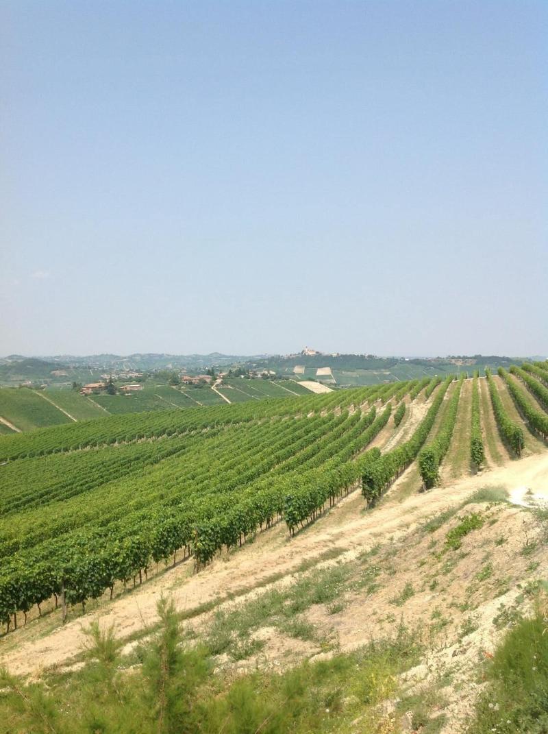 Agriturismo La Casa In Collina - Genel