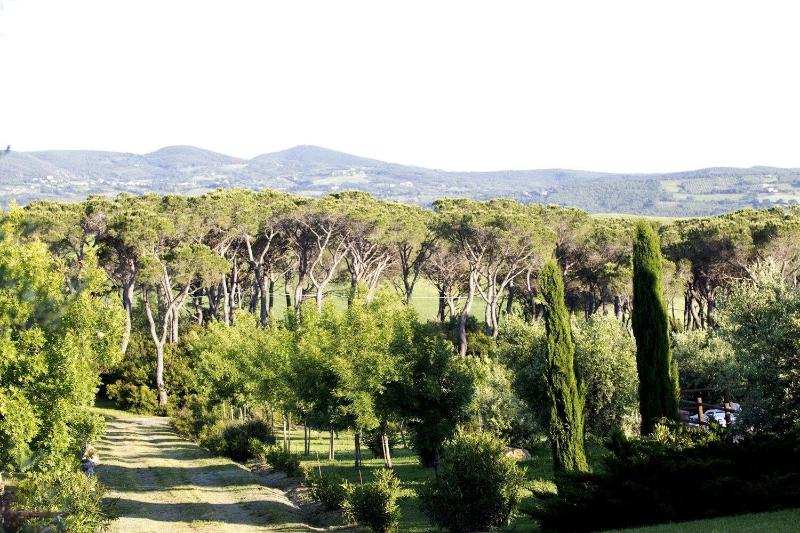 San Giorgio Country Residence - Aktivite