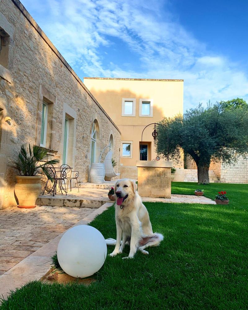 Villa Santa Margherita - Genel